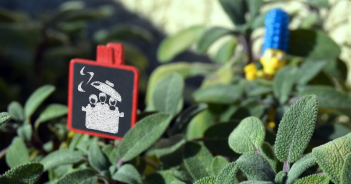 Sauge Herbes, épices et assaisonnements